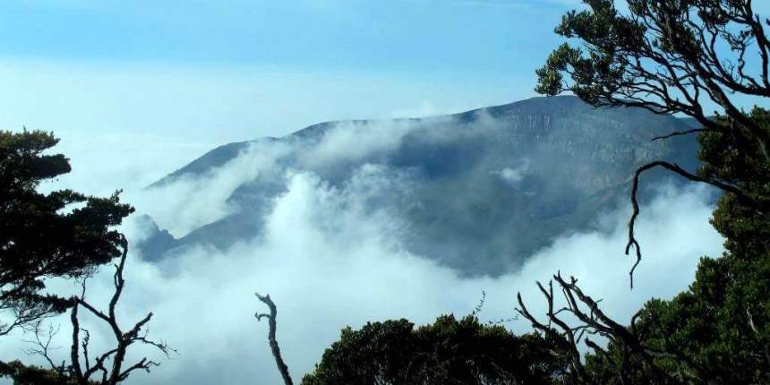 View from the peak of Mount Pangrango, West Java, Indonesia"