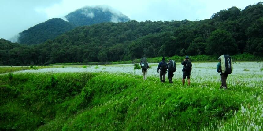 Hiking at Mount Papandayan, Garut, Indonesia