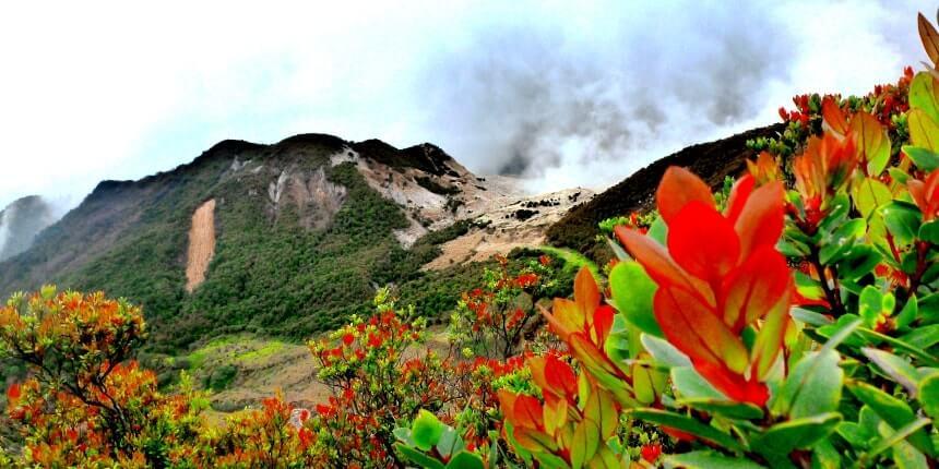 Mount Papandayan beautiful scenery