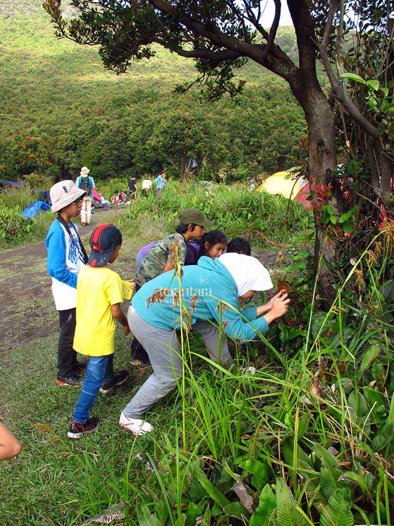 Photo Hunting Quest at Papandayan