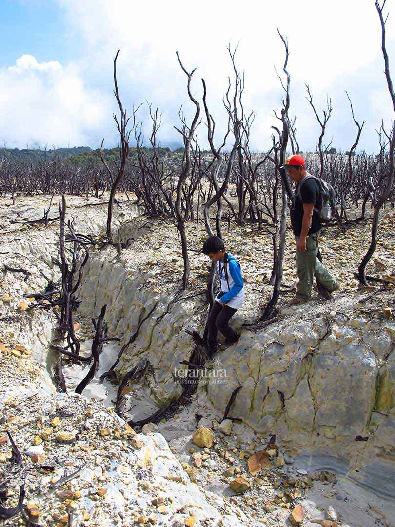 Children Exploring The Papandayan Mountain