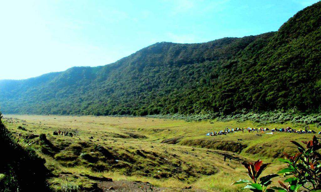 Suryakencana Valley, Mount Gede