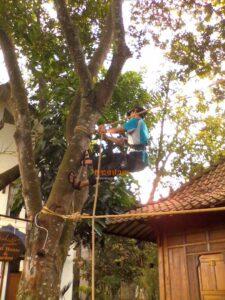 Adventure Facility Installation by Terantara