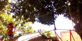Kids Adventure Event : Petualangan Anak Juara