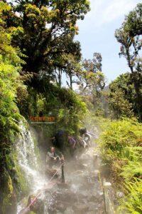 Trekking Mount Gede Through Hot Water Stream