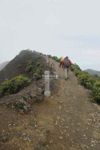 Way to Mount Gede Summit