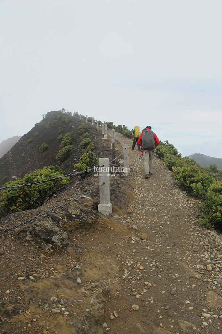 Way to Mount Gede Summit