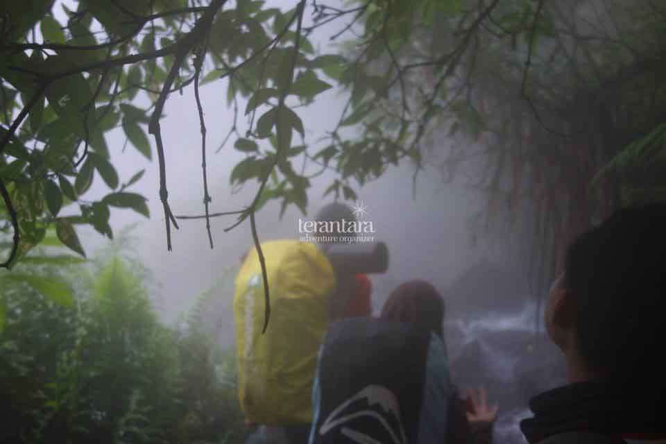 Walking Through Hot Water Stream on Cibodas Route, Mount Gede